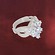 Arwens Ring