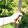 Gro�ansicht