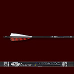 Carbonpfeil Gold Tip Entrada 30