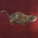 3D Tier - Longlife Bisamratte