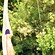 Gro�ansicht