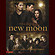 New Moon Biss zur Mittagsstunde - Filmbuch