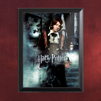 HP4 Onesheet Ron - Wandbild