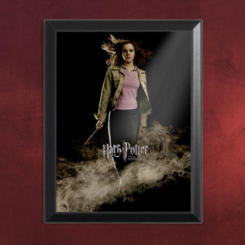 HP4 Banner Hermine - Wandbild