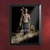 HP4 Banner Hermine - Wandbild