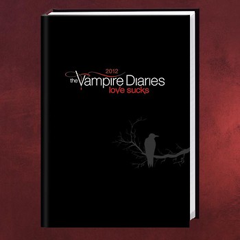 Vampire Diaries 17 Monatskalenderbuch A6 2012/13