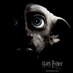 Dobby - Nowhere Is Safe - Kinder Shirt